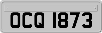 OCQ1873