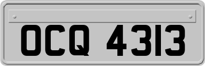OCQ4313