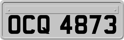OCQ4873