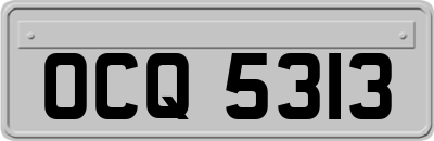 OCQ5313