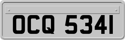 OCQ5341