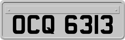 OCQ6313