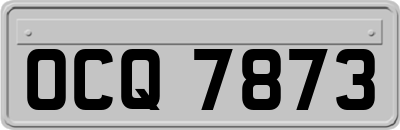 OCQ7873