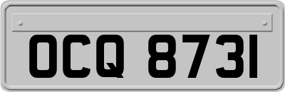 OCQ8731