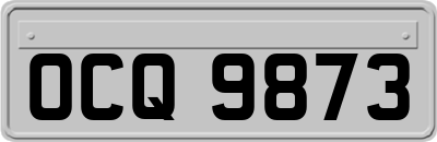 OCQ9873