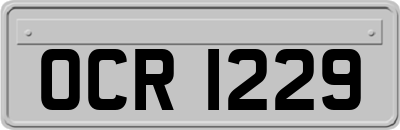 OCR1229