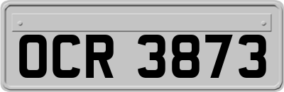 OCR3873