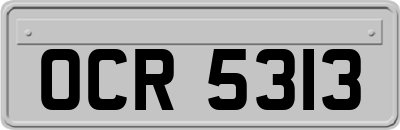 OCR5313