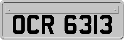 OCR6313