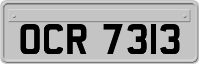 OCR7313