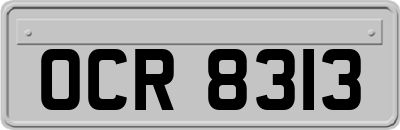 OCR8313