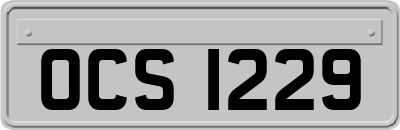 OCS1229
