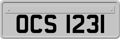 OCS1231