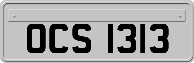 OCS1313