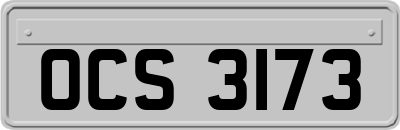 OCS3173