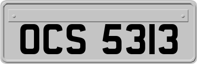 OCS5313
