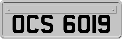 OCS6019