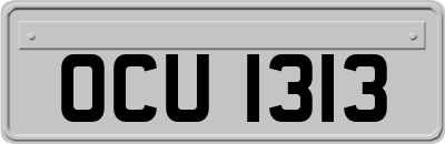 OCU1313