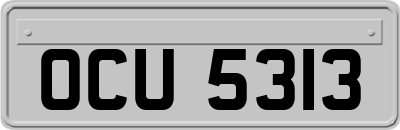 OCU5313