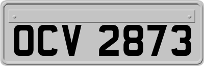 OCV2873