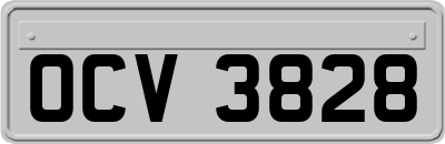 OCV3828