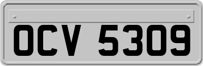 OCV5309