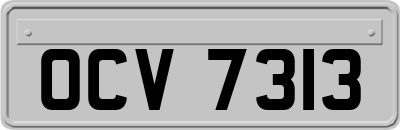 OCV7313