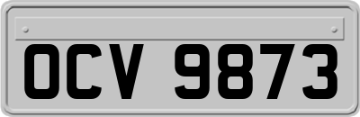 OCV9873