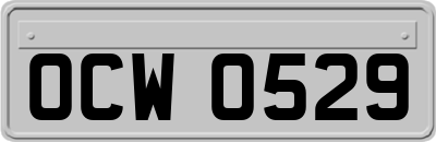 OCW0529