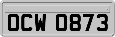 OCW0873