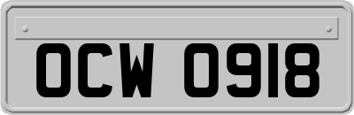 OCW0918