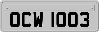 OCW1003