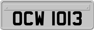 OCW1013