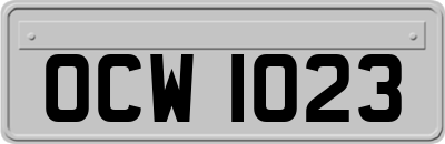 OCW1023