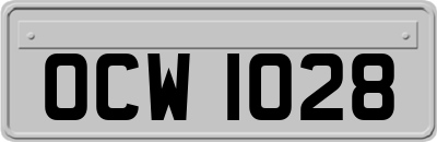 OCW1028