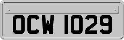 OCW1029