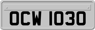 OCW1030