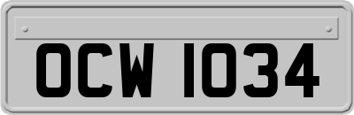 OCW1034