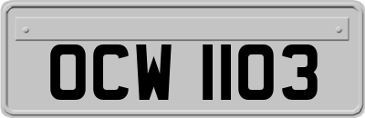 OCW1103