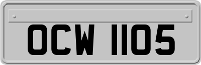 OCW1105
