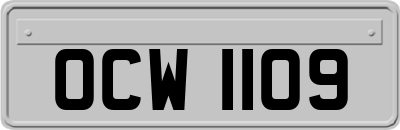 OCW1109