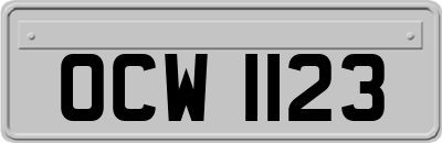 OCW1123