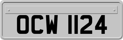OCW1124