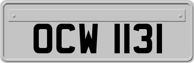 OCW1131