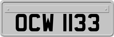 OCW1133