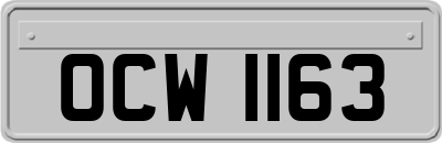 OCW1163