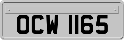 OCW1165