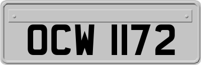 OCW1172