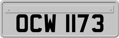OCW1173