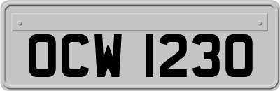 OCW1230